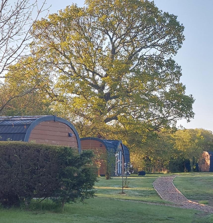 Oak Lodge Pods Lowestoft Exterior foto